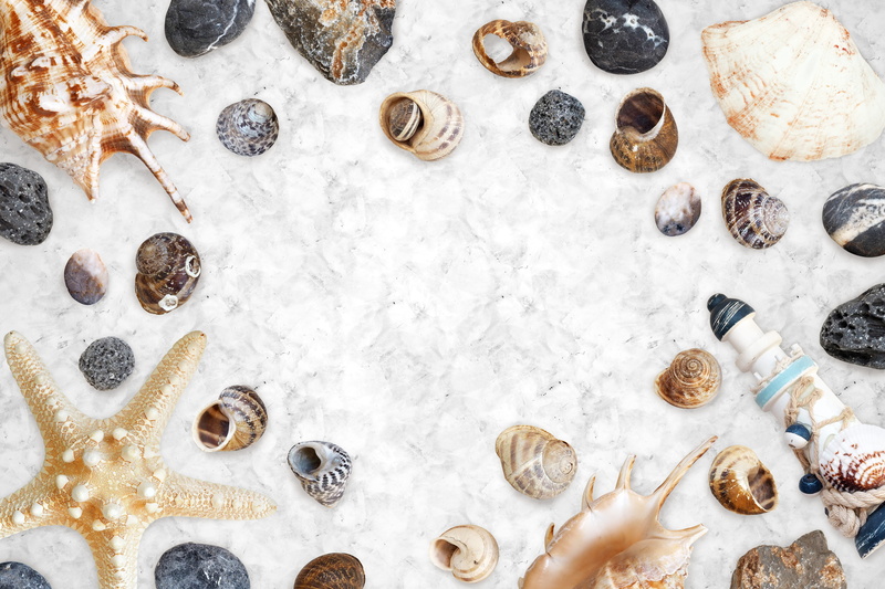 white color, indoors, variation, no people, travel, mussels, still life, choice, 5K, freshness, ornament, nature, sea, studio shot, beach, background