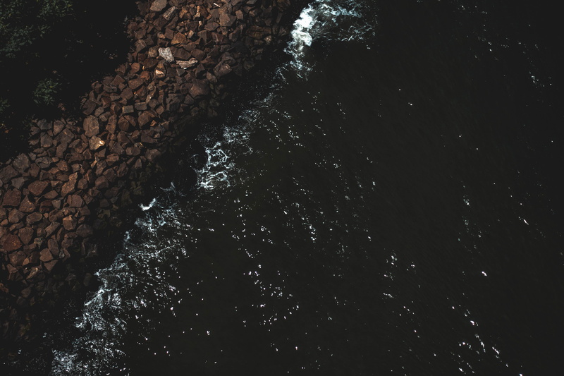 photography, seashell, tree, stone - object, s, ocean, bird, high angle view, reef, water, no people, sea anemone, flowing water, promontory, 5K, clam