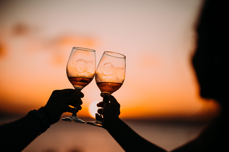 human body part, adult, glass, wineglass, person, smiling, wine, champagne flute, glasses, drink, event, human hand, silhouette, long, photography, 5K
