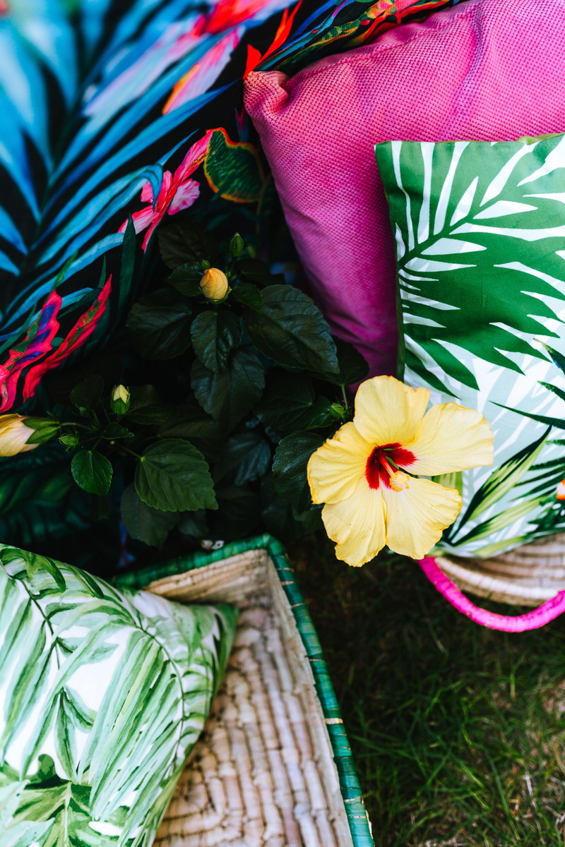 decoration, exotic, nature, high angle view, summer, flower arrangement, floral pattern, pink color, Garden Party, outdoor, petal, beauty in nature, decor