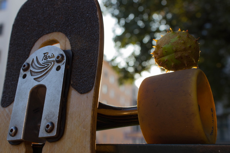 5K, chestnut, longboarding, fall, longboard, Paris