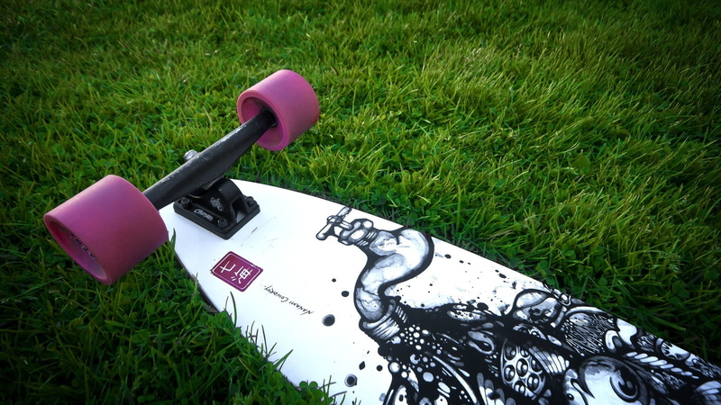 1080P, sunlight, land, pink color, longboarding, growth, no people, front or back yard, work tool, grass, tool, nature, day, gardening, longboard, park