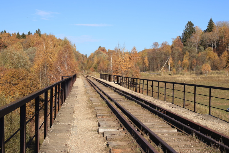 railing, autumn, plants, moscow region, rail transportation, connection, direction, beauty in nature, rails, sky, landscape, transportation, track, no people