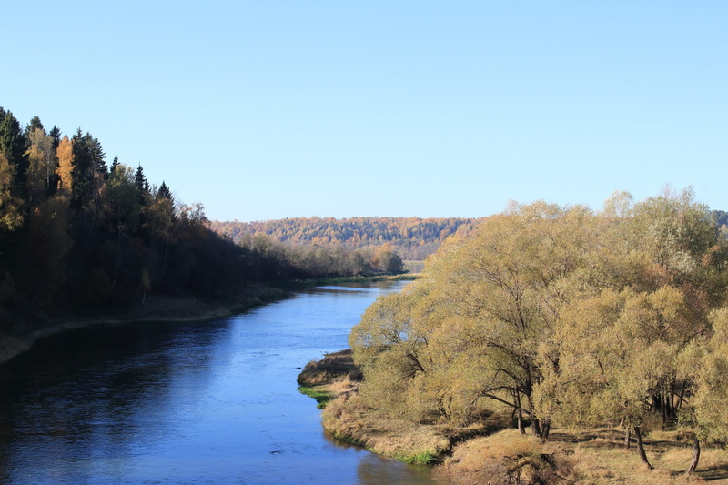 nature, water, growth, tranquil scene, blue, sky, land, 2K, autumn, shadow, moscow region, clear sky, day, tranquility, outdoors, plant, non-urban scene