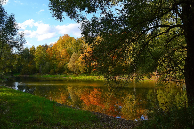 region, moscow, lake, branches, 539288, 2048x1365, forests, russia, autumn, 1080P