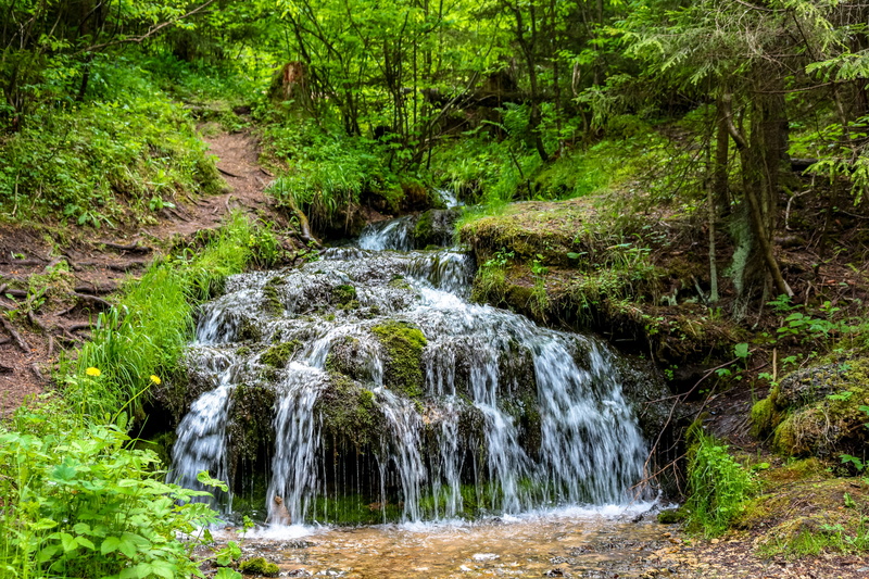 kaluga, water, land, forest, 5K, woodland, lapse, moscow region, explosive, falling water, time, growth, non-urban scene, power in nature, gremyachiy