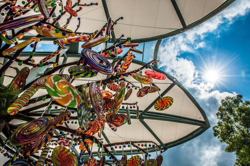 5K, low angle view, outdoors, universal studios singapore, no people, sunbeam, nature, cloud - sky, day, plant, sky, sunny, multi colored, tree, decoration