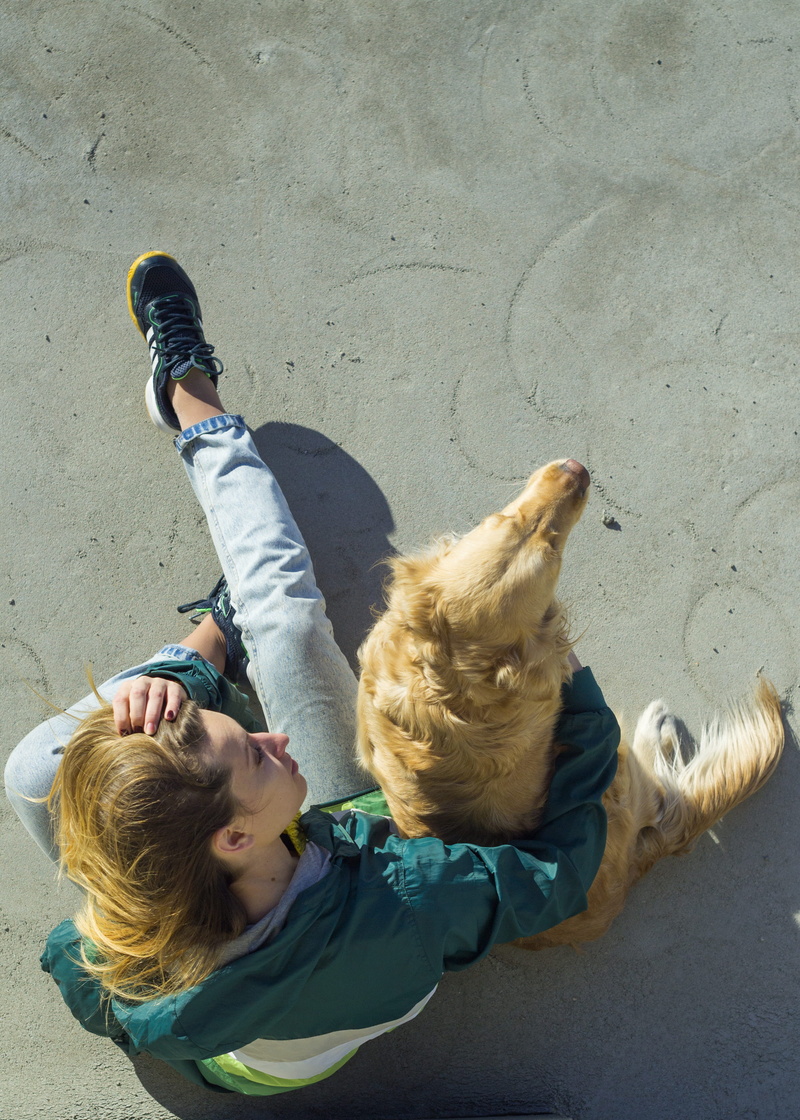 lifestyles, casual clothing, mood, mammal, child, females, pets, outdoors, one animal, bucharest, indie, roof, romania, domestic, canine, domestic animals