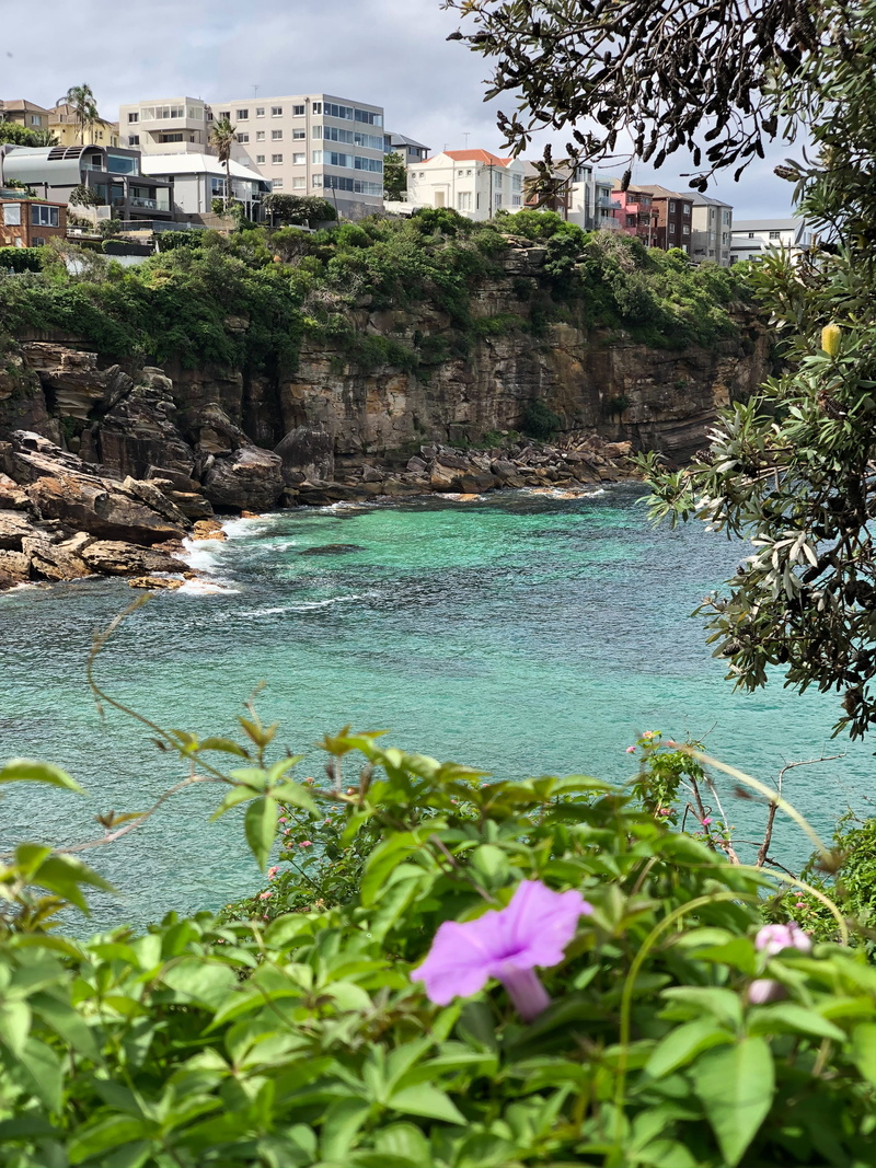 no people, 4K, house, building exterior, residential district, ocean, bondibeach, built structure, sea, city, bondi, shoreline, nature, green, cliff, coast