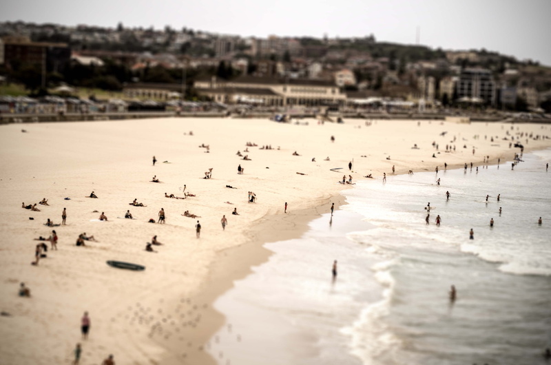 large group of animals, coast, building, water, land, nature, travel destinations, bondi beach, group, building exterior, sydney, coastal, person, sea shore