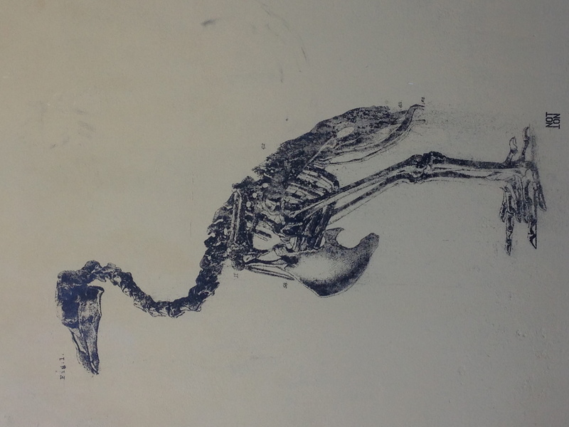 2K, bondi beach, crocodile, nature, creativity, reptile, bird, animal body part, animal representation, animal wildlife, animal, animals in the wild, wall - building feature