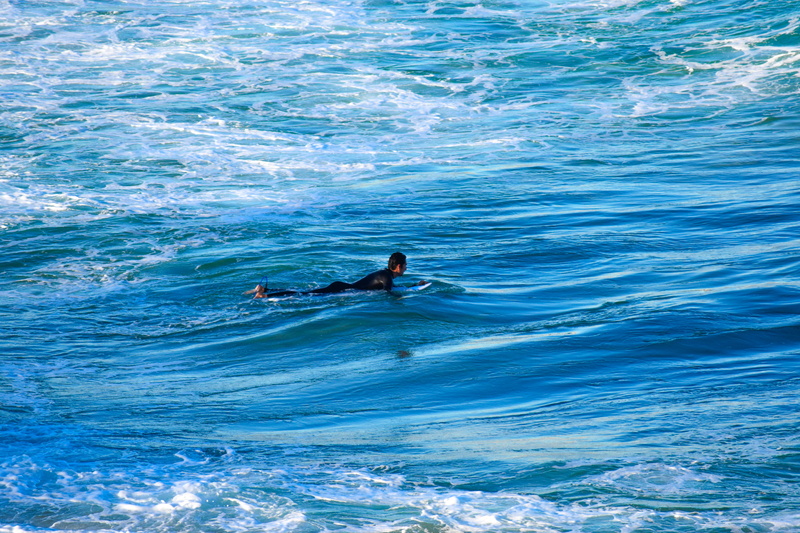 real people, sea, australia, aquatic sport, surf, adventure, water, surfboard, day, summer, 5K, leisure activity, bondi, bondi beach, outdoors, nature