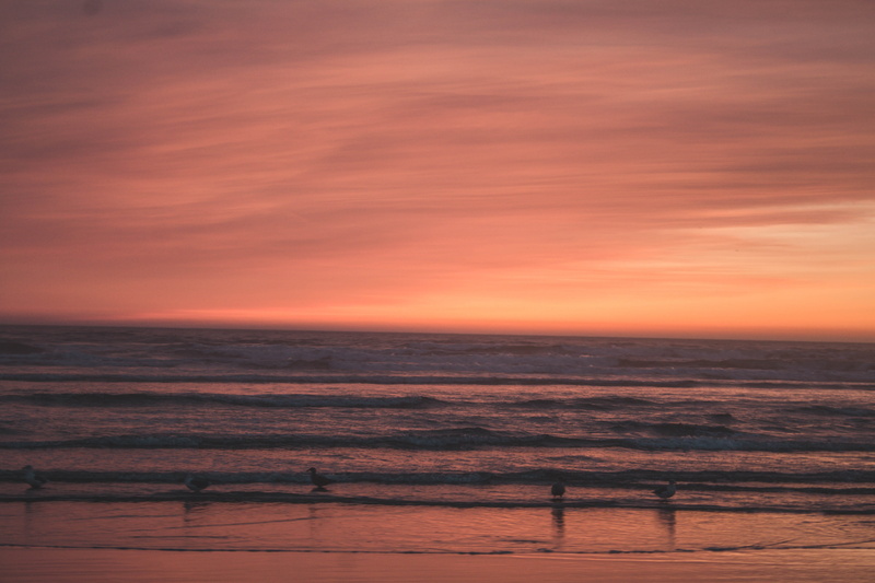 sunset, brendonttv, pink, united states, 5K, beauty in nature, orange color, land, beach photography, landscape, outdoors, oregon photography, dramatic sky