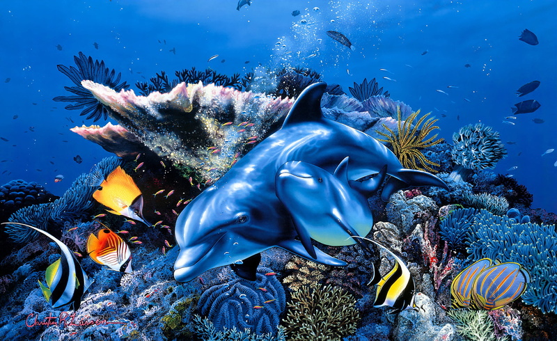 Animal, Coral, 2K, Fish, Baby Animal, Sea Life, Dolphin, Artistic, Painting