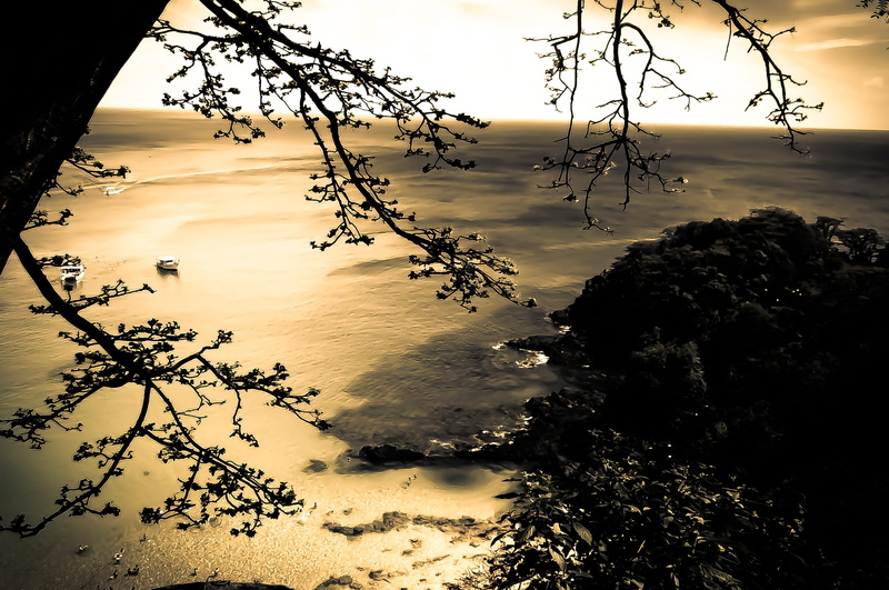 tranquil scene, outdoors, atlantic ocean, landscape, tranquility, tree, island, idyllic, night, 2K, of, plant, beach, no people, reflection, nature, sky
