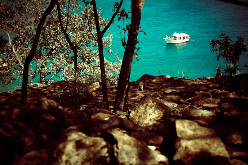 beach, boat, tree trunk, of, nature, rock - object, no people, mar, perfect, day, transportation, water, beauty in nature, tree, outdoors, rock, tranquility