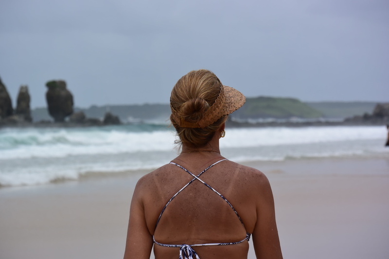 nature, focus on foreground, looking at view, standing, lifestyles, woman, hairstyle, hair bun, beach, island, sky, sea, summer, adult, back view, women
