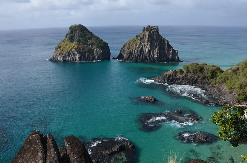 details, holiday, sky, summer, horizon over water, beauty in nature, day, outdoors, caribbean, tranquility, animals, idyllic, bay, blue, no people, water