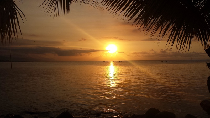 nature, scenics - nature, tranquil scene, lens flare, no people, outdoors, tranquility, hour, sun, land, beach, island, reflection, sky, roatan, palm leaf