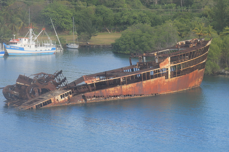 tranquility, scenics - nature, plant, tree, nature, roatan, beauty in nature, no people, passenger craft, honduras, day, ship, waterfront, outdoors, water