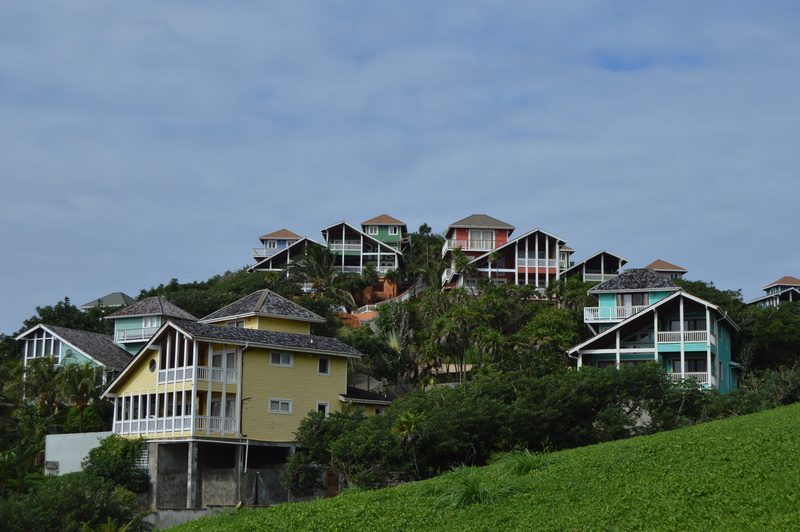 land, house, built structure, hill, plant, building, architecture, building exterior, nature, residential district, trees, 5K, outdoors, grass, city, tree