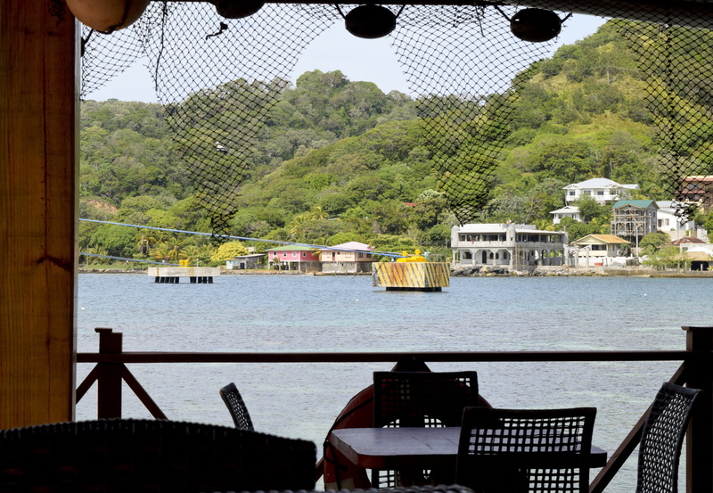 travel, railing, shoreline, water, tree, sky, outdoors, building exterior, wave, roatan, scenic, sea, plant, passenger craft, landscape, transportation