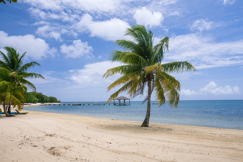 beauty in nature, horizon, near, palm Tree, tropical tree, tropical Climate, 1080P, sand, summer, resort, tranquil scene, sea coast, sky, tree, island