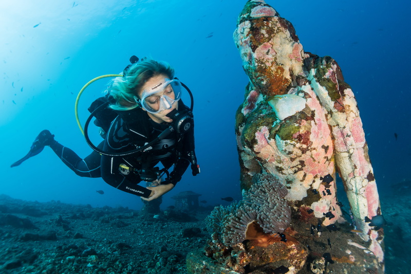 aquatic sport, marine, woman, lifestyles, animals in the wild, leisure activity, sea life, underwater, underwater diving, swimming, animal themes, diving