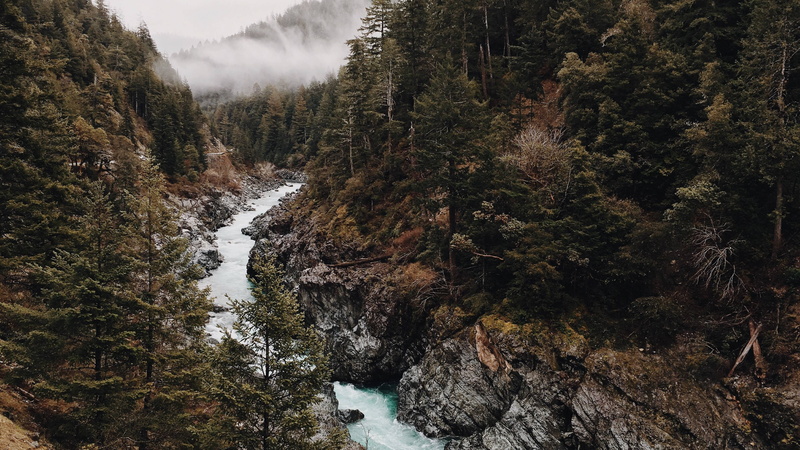gorge, 4K, gully, woods, wilderness, valley, forest, wild