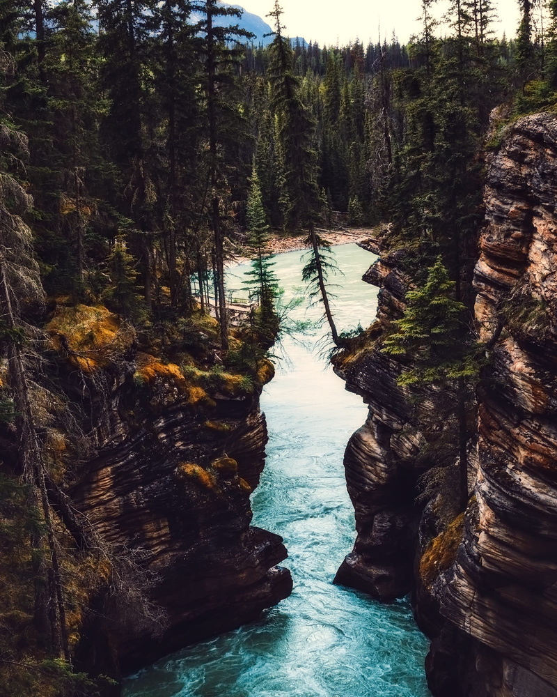 flowing, tree, tranquil scene, stream, outdoors, tourism, tranquility, woods, green, scenics, Ravine, countryside, beauty in nature, Landscape, rock, forest