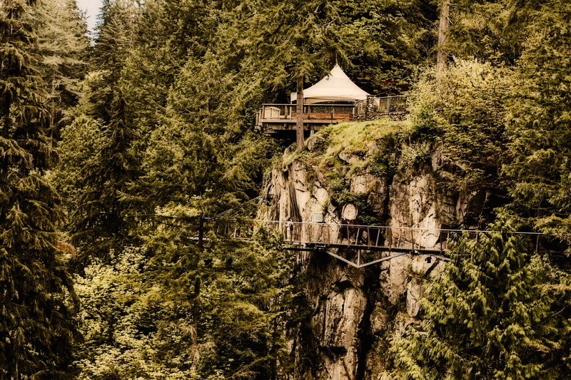 country, forest, building, beauty in nature, 1080P, cliff, green color, tranquility, Canada, growth, Gully, Canyon, wilderness, trees, Landscape, tree