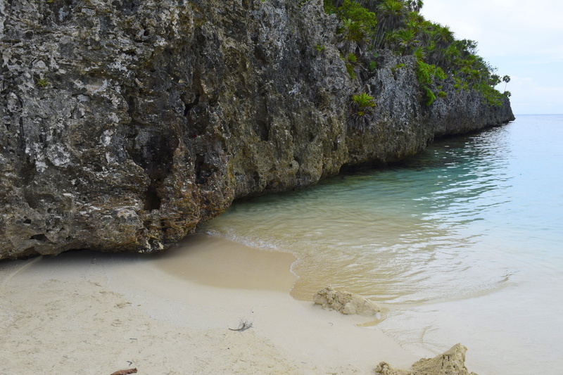 tourism, roatan, tropical, island, holiday, tide, honduras, rock, tranquility, 5K, blue, resort, beauty in nature, destinations, scenics - nature, paradise