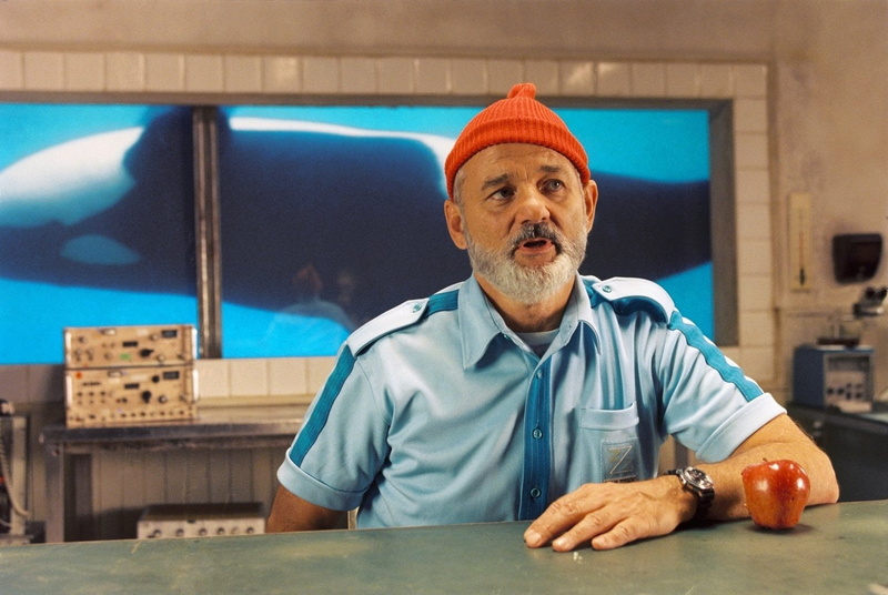 Bill Murray, Movie, 720P, The Life Aquatic With Steve Zissou