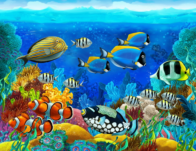 4K, Corals, fish, Seabed, tropical, ocean, sea, underwater
