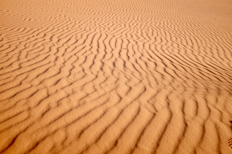 dune, desert, photo, arid climate, focus, sand, natural pattern, environment, no people, land, nature, landscape, expanse, scenics - nature, beauty in nature