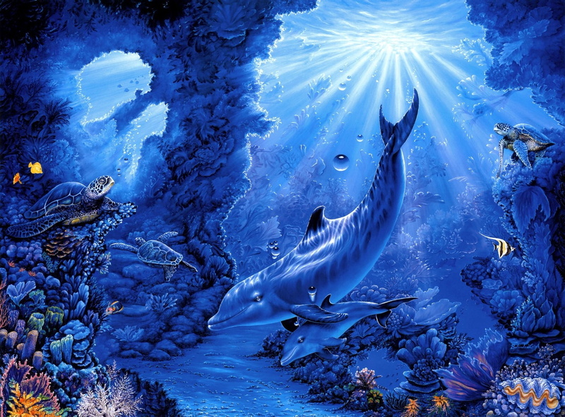 dolphins, rays, Dolphin, sea, 1080P, fish, art, Leigh, belinda, underwater, Seabed, turtles, Corals, ocean