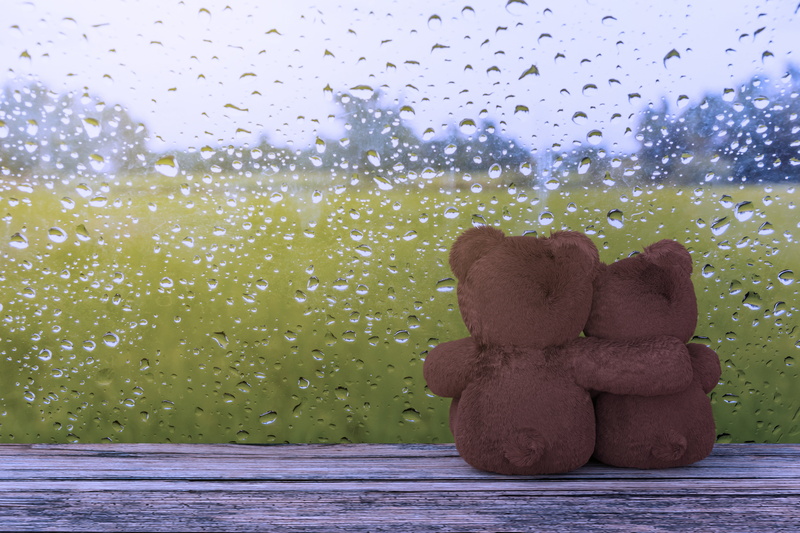pair, cute, teddy, couple, bear, romantic, window, drops, rain, love, 5K, glass