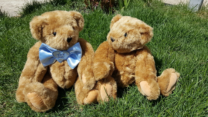 childhood, love, teddy Bear, child, no People, animal, land, softness, two, grass, sitting, animal themes, domestic animals, mammal, couple, nature, romance
