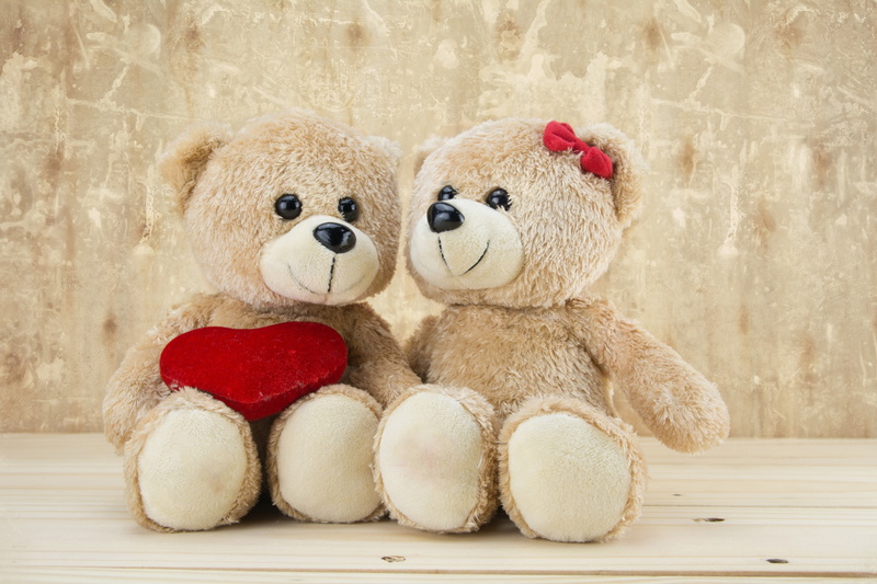 4K, teddies couple 4k  download  hd