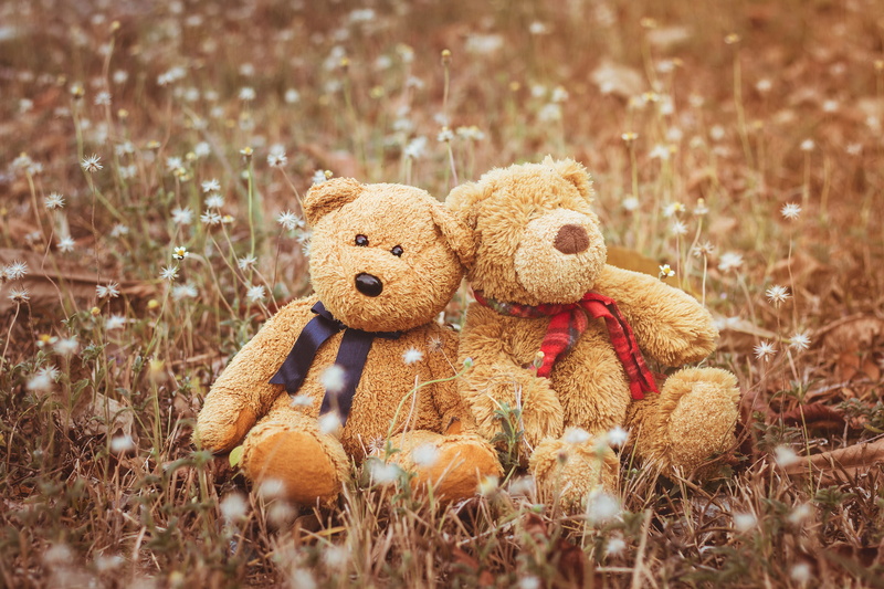 two, love, couple, bear, field, cute, 4K, teddy, romantic, pair, toy