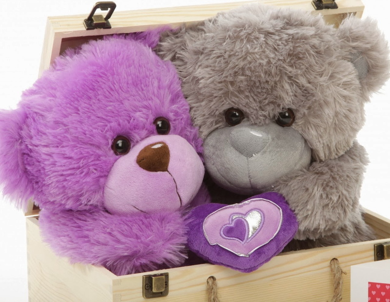 bear couple, 720P, purple, teddy