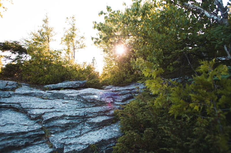 green color, plant, forest, environment, outdoors, trees, day, tranquil scene, layered rocks, solid, beauty in nature, layered, scenics - nature, landscape