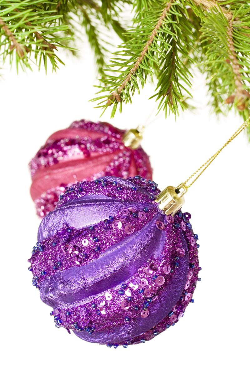 isolated, glittering, tree, bough, ball, decorate, ornament, branch, white background, ever, white, no people, bauble, sphere, festive, closeup, spruce