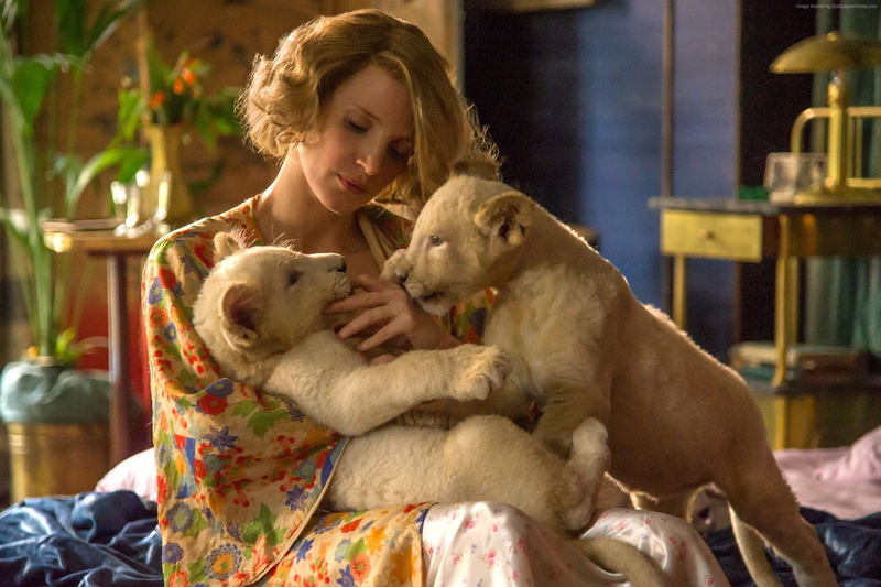 1080P, best movies, lion, The Zookeepers Wife, Jessica Chastain