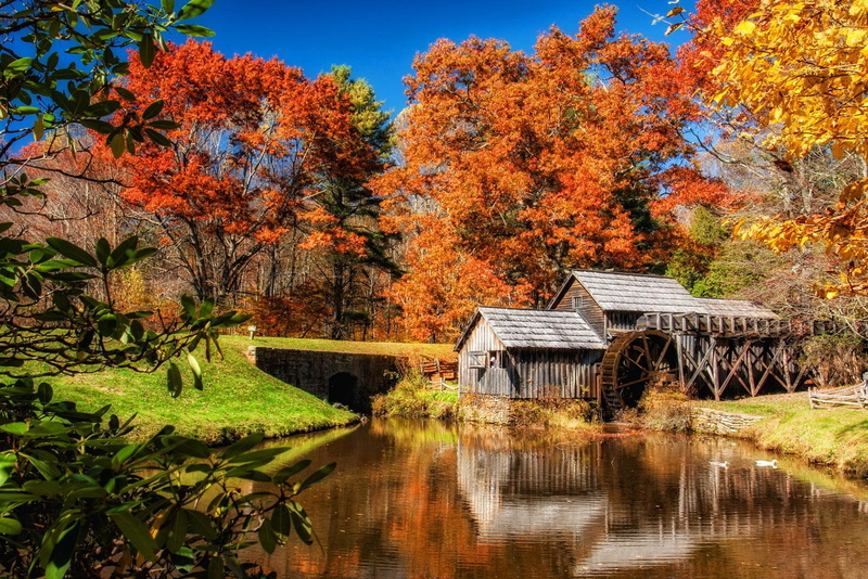 nice, lovely, trees, fall, calm, 720P, mill, autumn, grass, leaves, falling, mabry, season, water, lake, mabry-mill, shore, beautiful