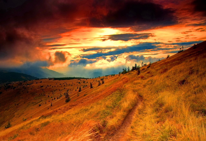 orange, lovely, beautiful, sunset, autumn, field, trees, fiery, 1080P, sunr, grass, nice, fall, amazing, slope, mountain