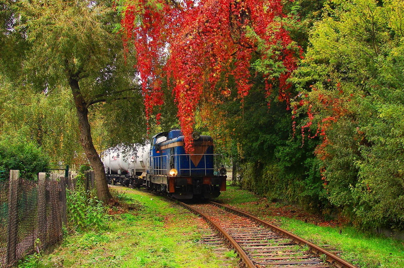 branches, nice, path, lovely, grass, fall, fence, beautiful, 720P, train, trees, railroad, colorf, railways, industrial