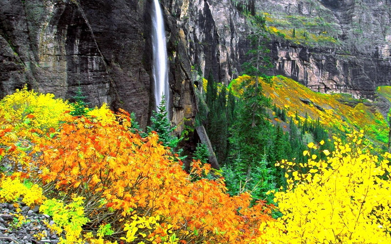 1080P, yellow, waterfall, fall, trees, beautiful, cliff, lovely, orange, rocks, petaled, nice, falling, flowers, leaves, colorful, water