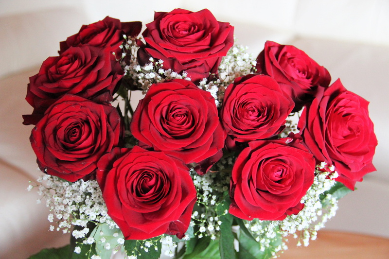 vulnerability, rose - flower, blooming roses, beauty in nature, no people, bouquet, he loved flowers, flower, floral greeting, flower arrangement, Bouquet Of Roses