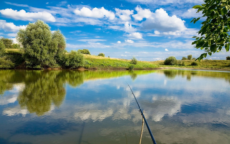 1080P, rod, first person view, fishing